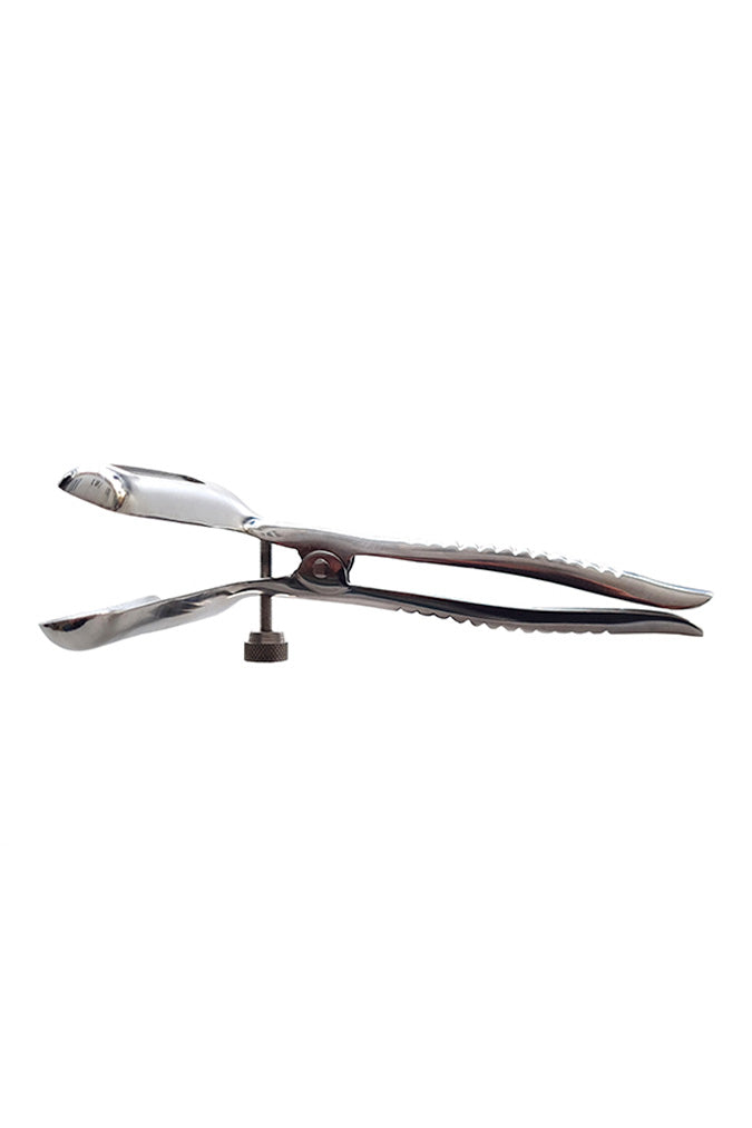 Anal Speculum - Steel
