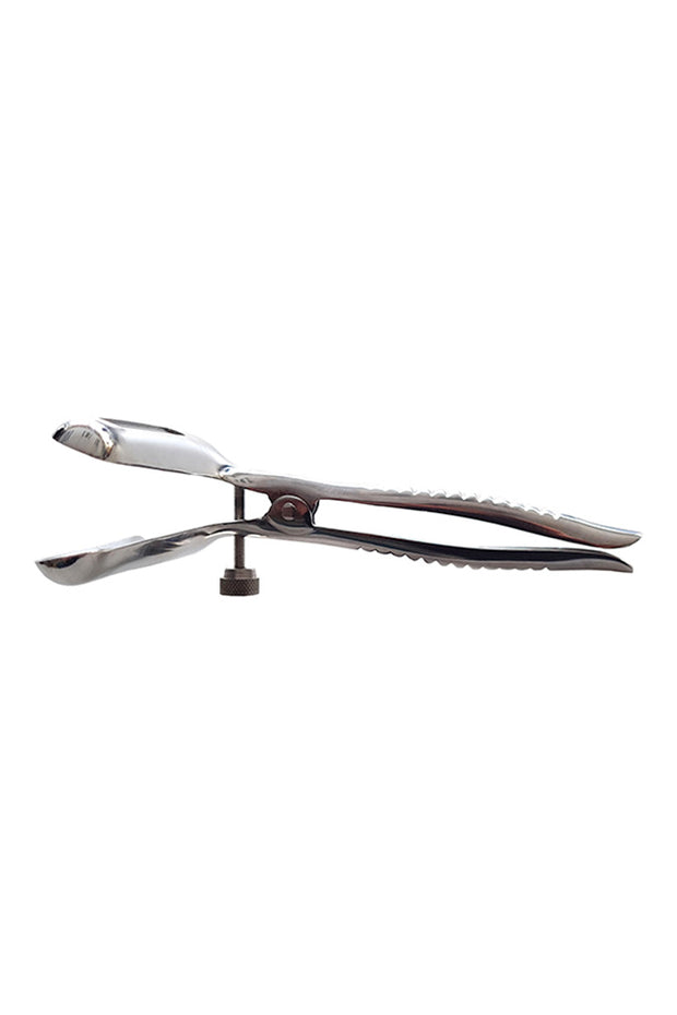Speculum Anal - Acier