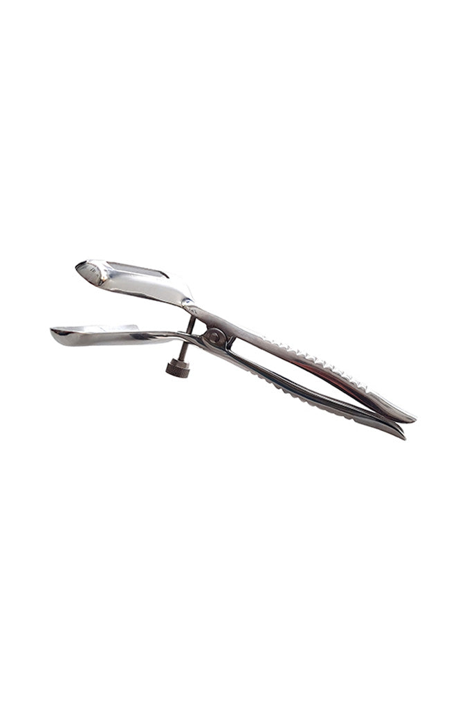 Anal Speculum - Steel