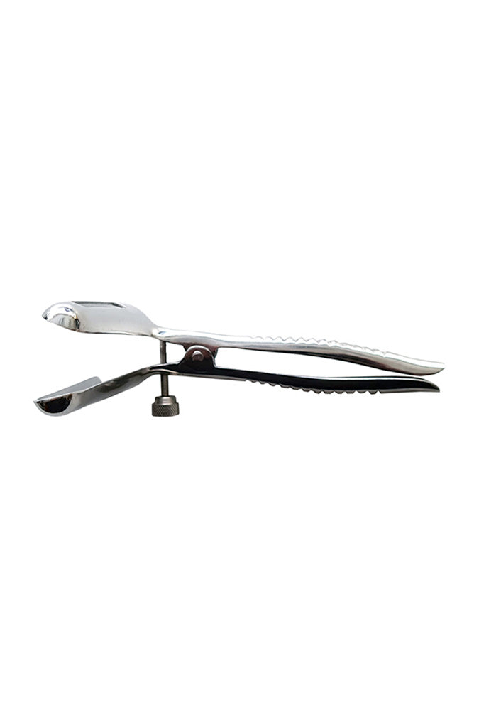 Anal Speculum - Steel