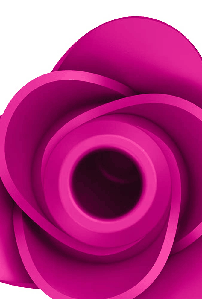 Stimulateur clitoridien air pulse - Pro 2 Modern Blossom