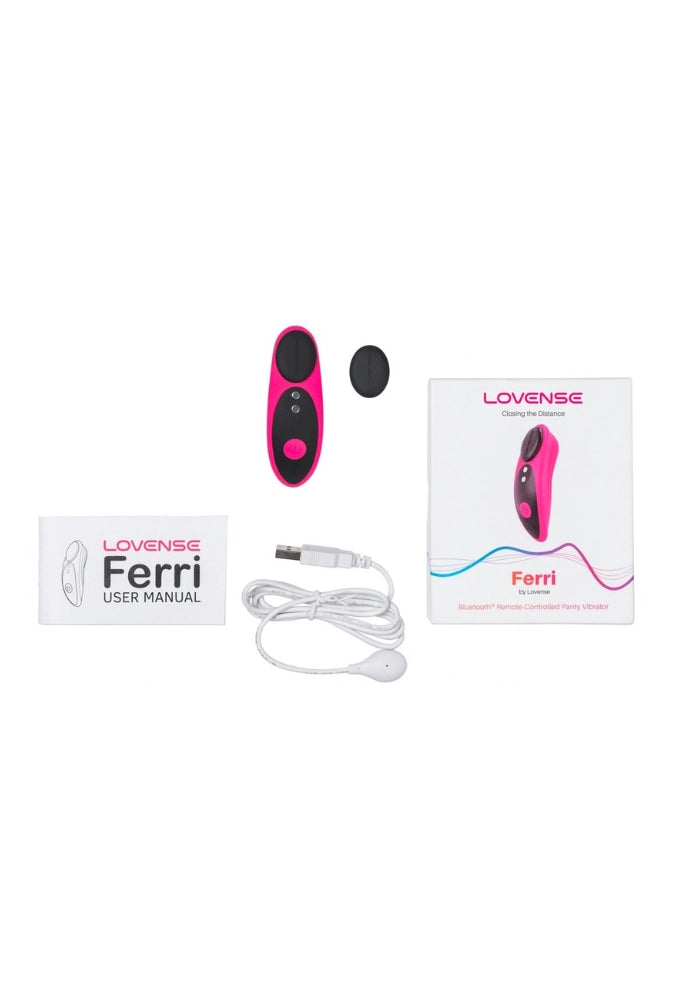 App-controlled panty vibrator - Ferri