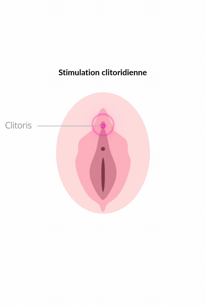 Verbonden clitorale en vulvaire stimulator - Ambi
