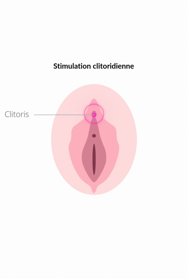 Stimolatore clitorideo e vulvare connesso - Ambi