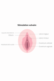 Verbonden clitorale en vulvaire stimulator - Ambi