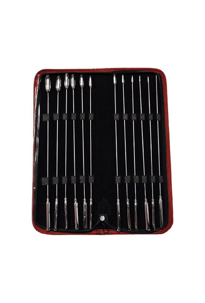 Rosebud Kit - Urethral Sounds 12 Pieces - Steel