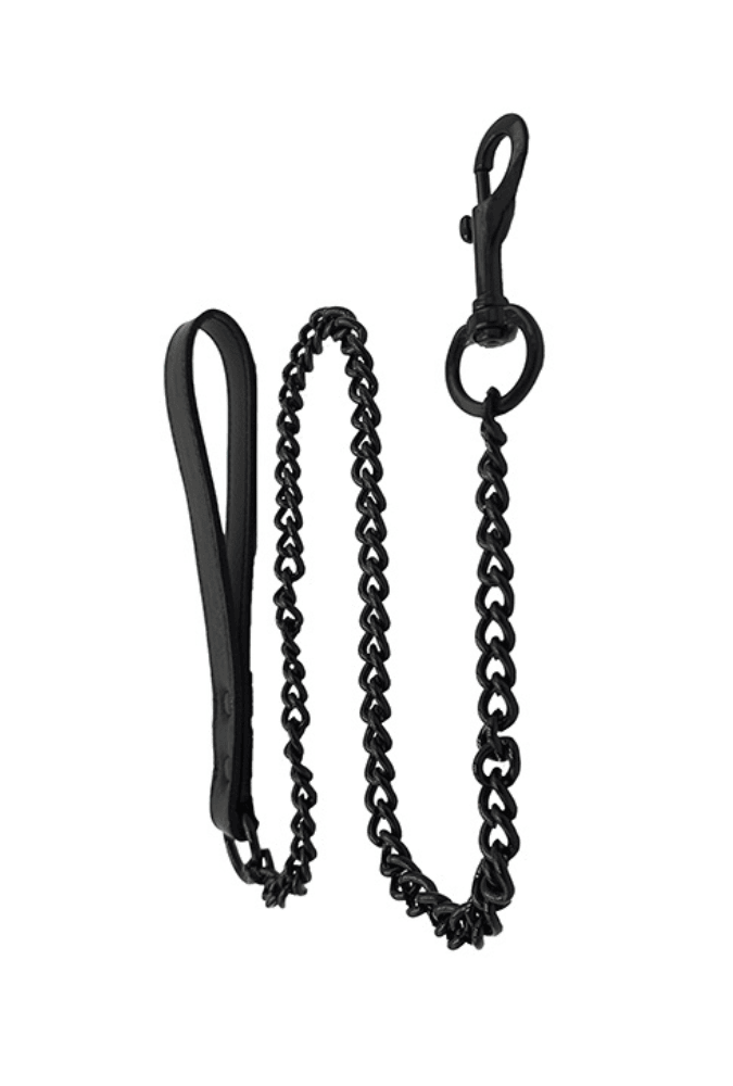 Elegant Lead with Chain - Leather