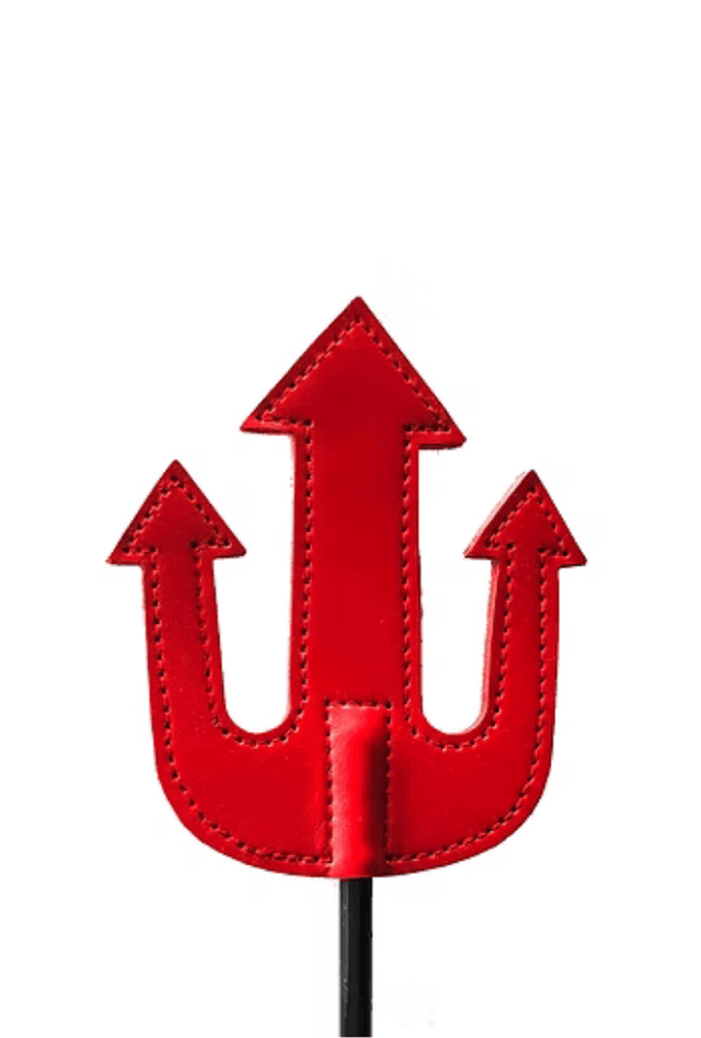 Cravache du Diable - Cuir