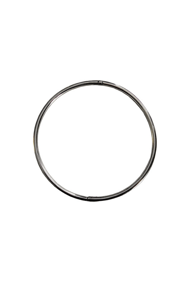 Collier d'appartenance Fin - Acier Day Collar