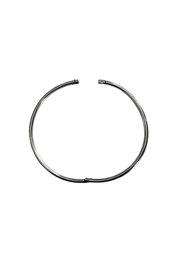 Collier d'appartenance Fin - Acier Day Collar