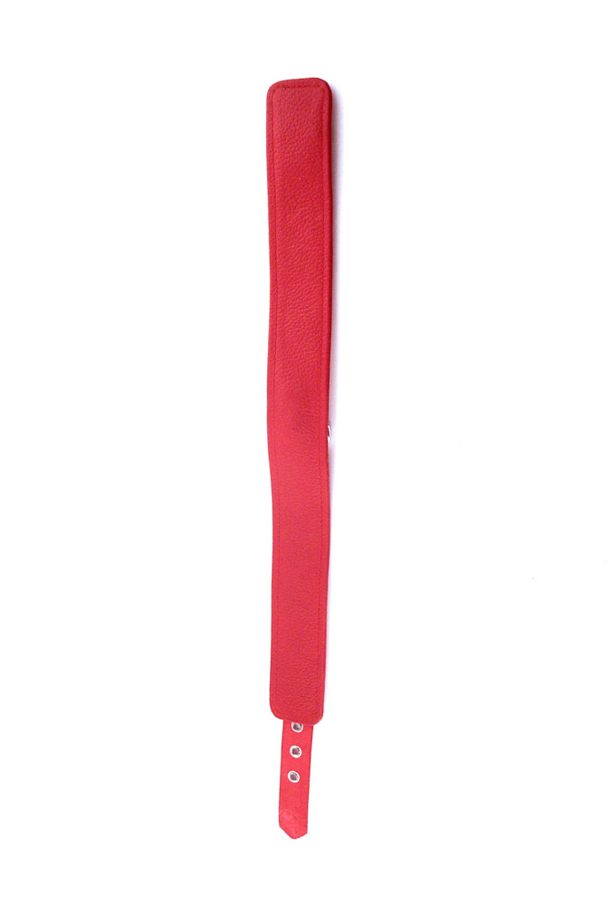 Submission Collar with Ring - Leather