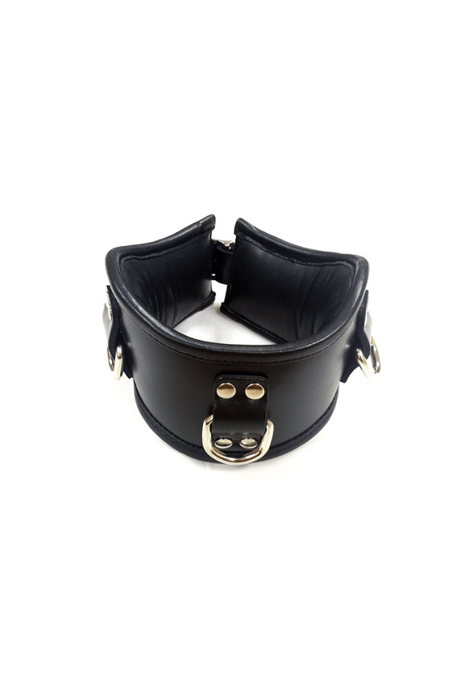 Lockable Posture Collar with D-Rings - Leather