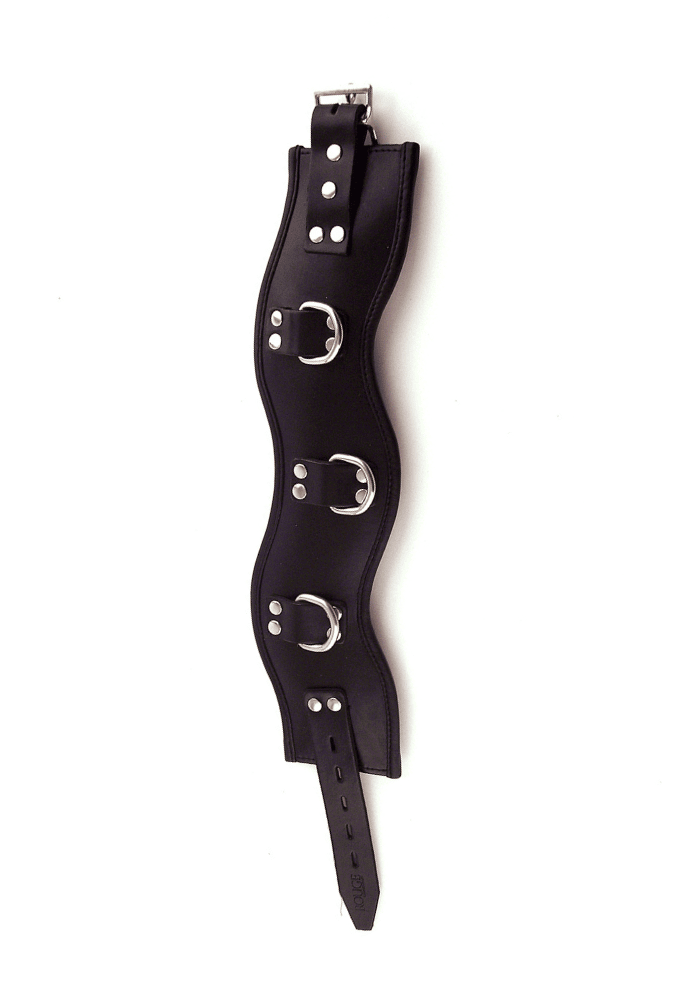 Lockable Posture Collar with D-Rings - Leather