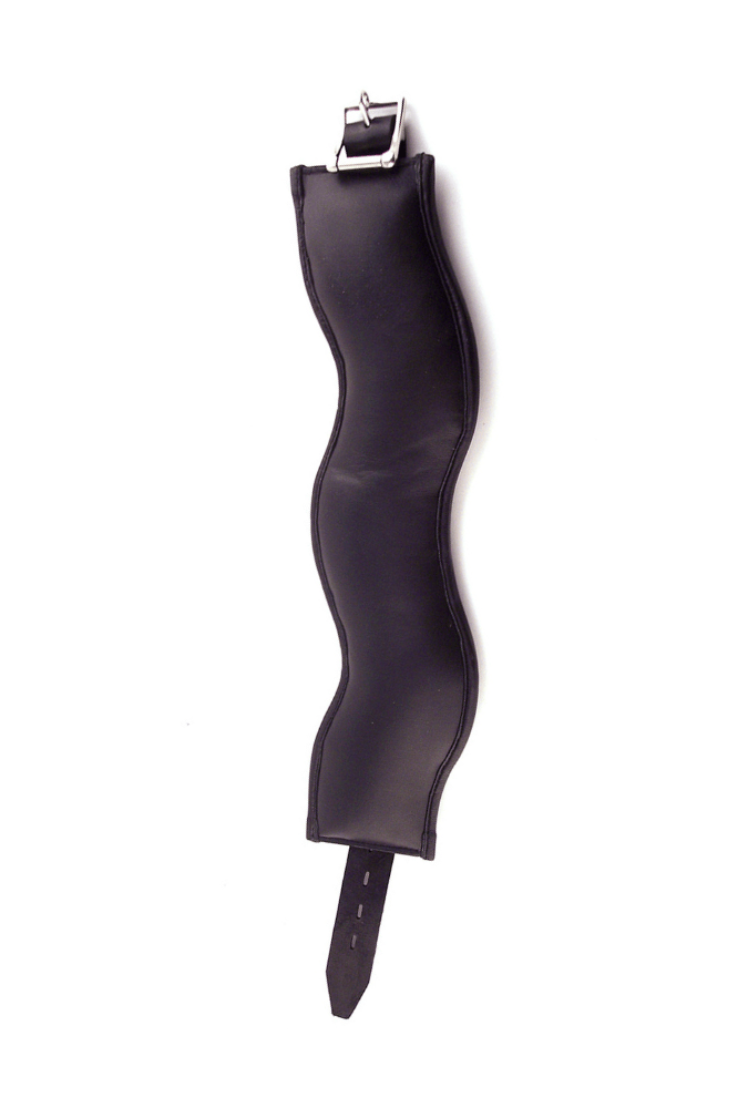 Lockable Posture Collar with D-Rings - Leather