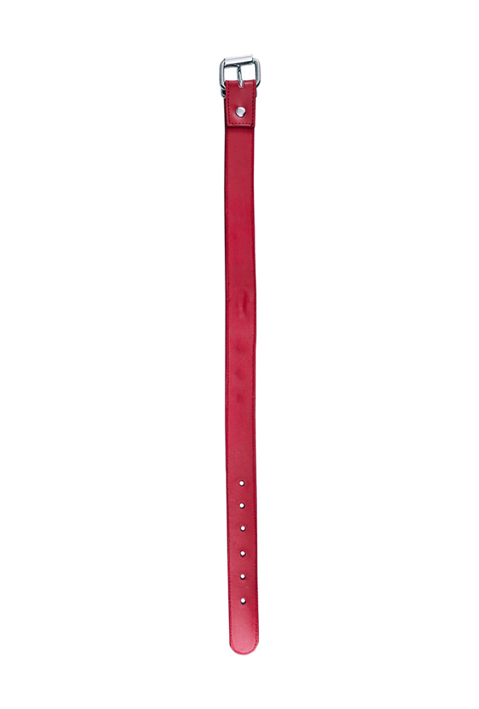 Studded Submission Collar with Ring - Leather