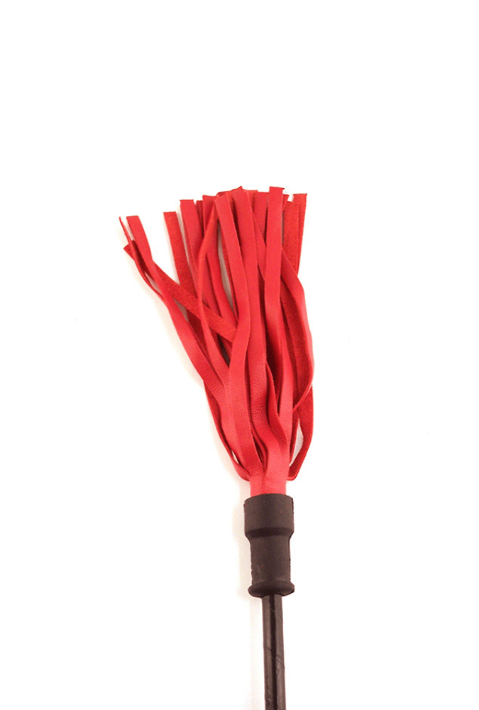 Cravache avec Manche en Bois Rond - Cuir