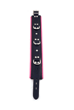 Padded Submission Collar 3 Rings - Leather