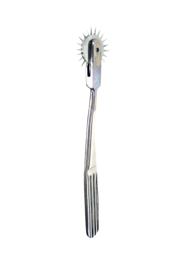 Roulette di Wartenberg Pinwheel Semplice - Acciaio
