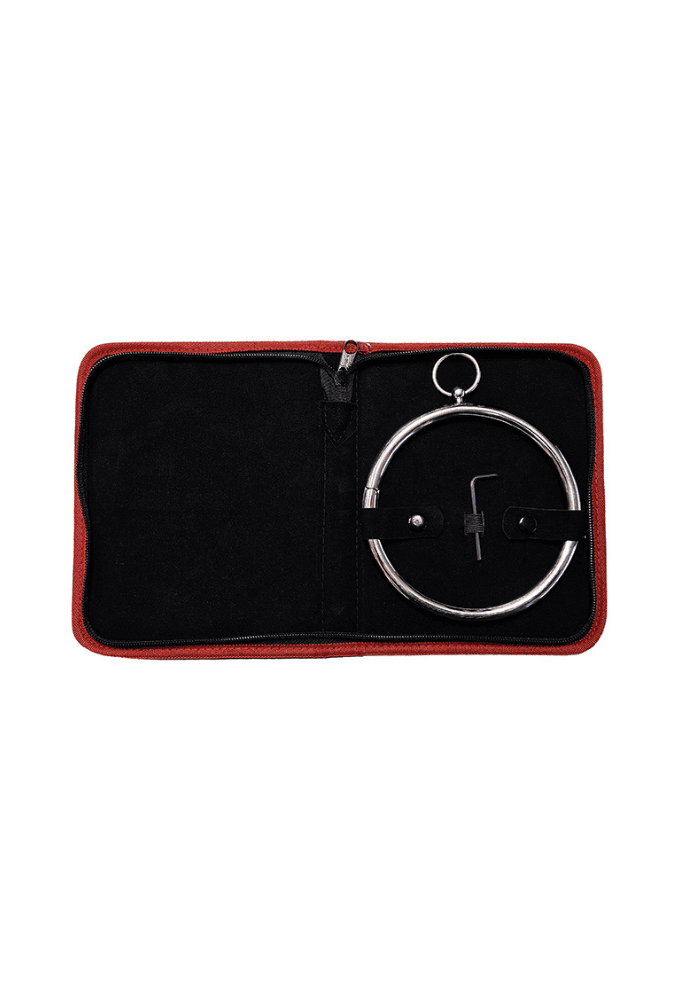Belonging Collar with Ring - Steel Day Collar