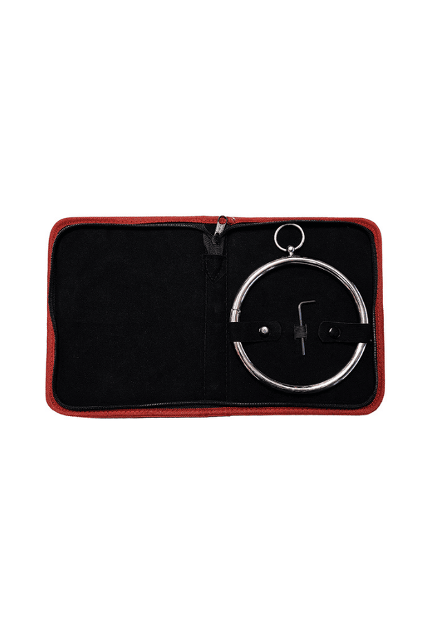 Collare di appartenenza con anello - Day Collar in acciaio