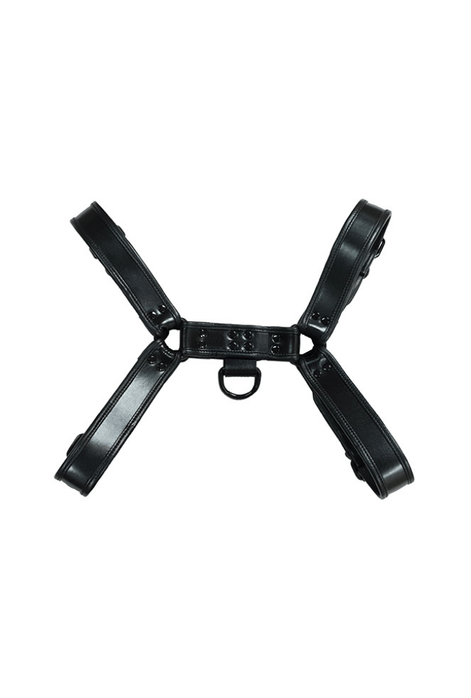 Bondage-Oberkörper-Harness O.T.H - Leder