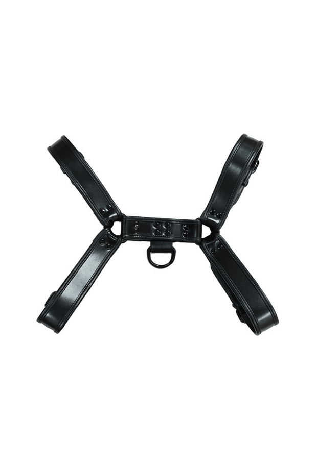Bondage-Oberkörper-Harness O.T.H - Leder
