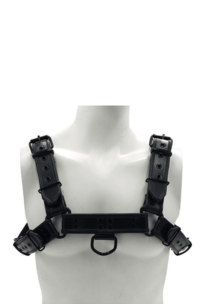 Bondage-Oberkörper-Harness O.T.H - Leder