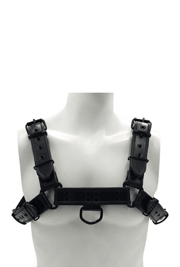 Bondage-Oberkörper-Harness O.T.H - Leder