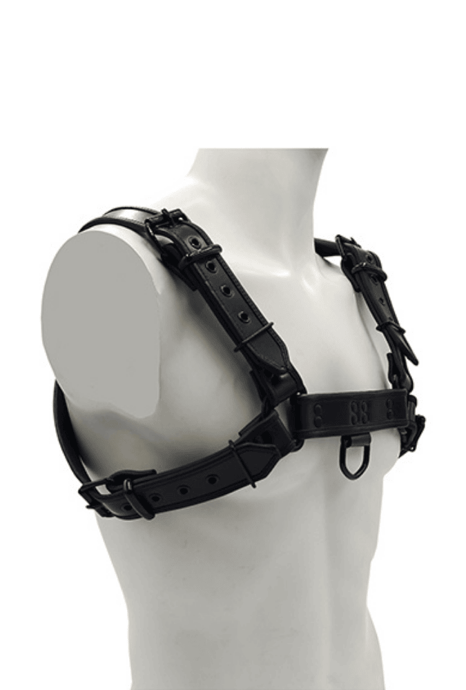 Bondage-Oberkörper-Harness O.T.H - Leder
