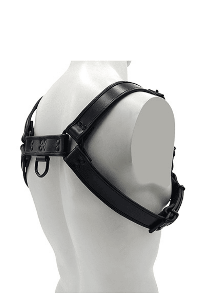 Bondage-Oberkörper-Harness O.T.H - Leder