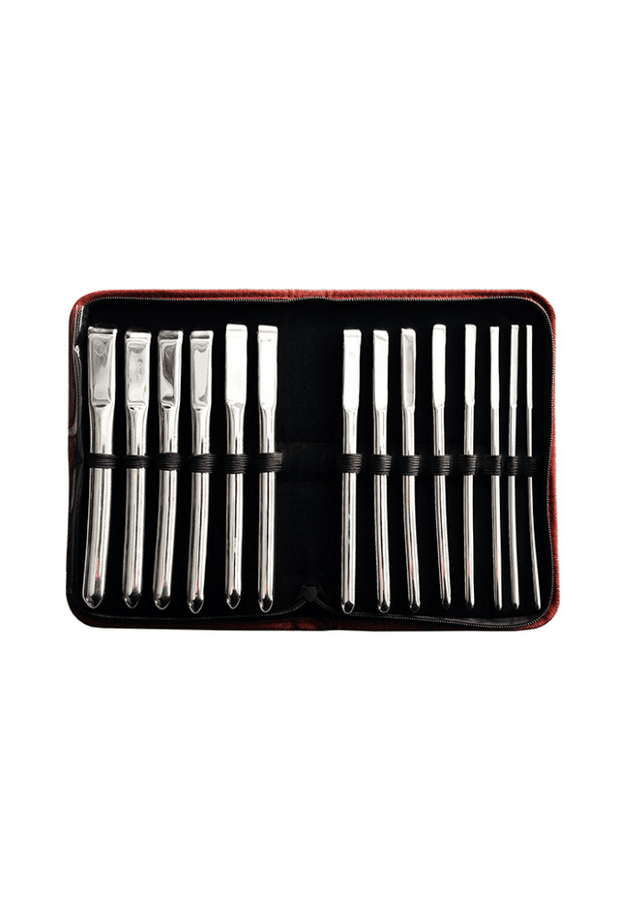 Set de 14 Dilatateurs Hegar Courbés - Acier