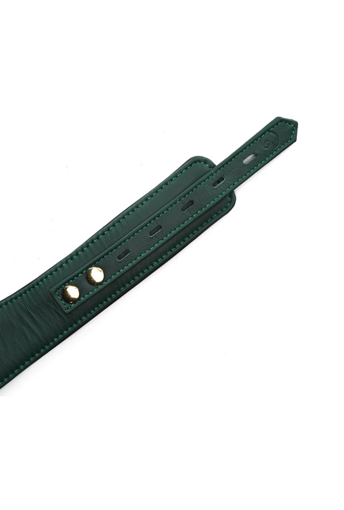 Submission Collar with Lead Mossy Chic - Green Leather