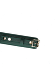 Submission Collar with Lead Mossy Chic - Green Leather