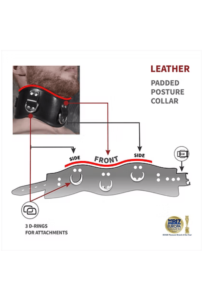 Lockable Posture Collar with D-Rings - Leather