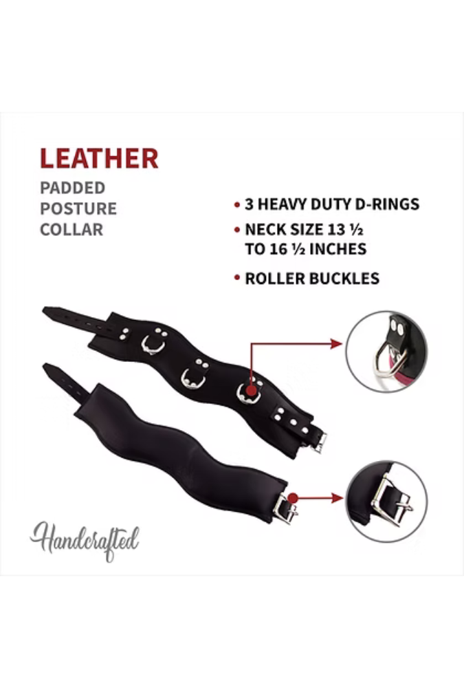 Lockable Posture Collar with D-Rings - Leather