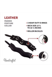 Lockable Posture Collar with D-Rings - Leather